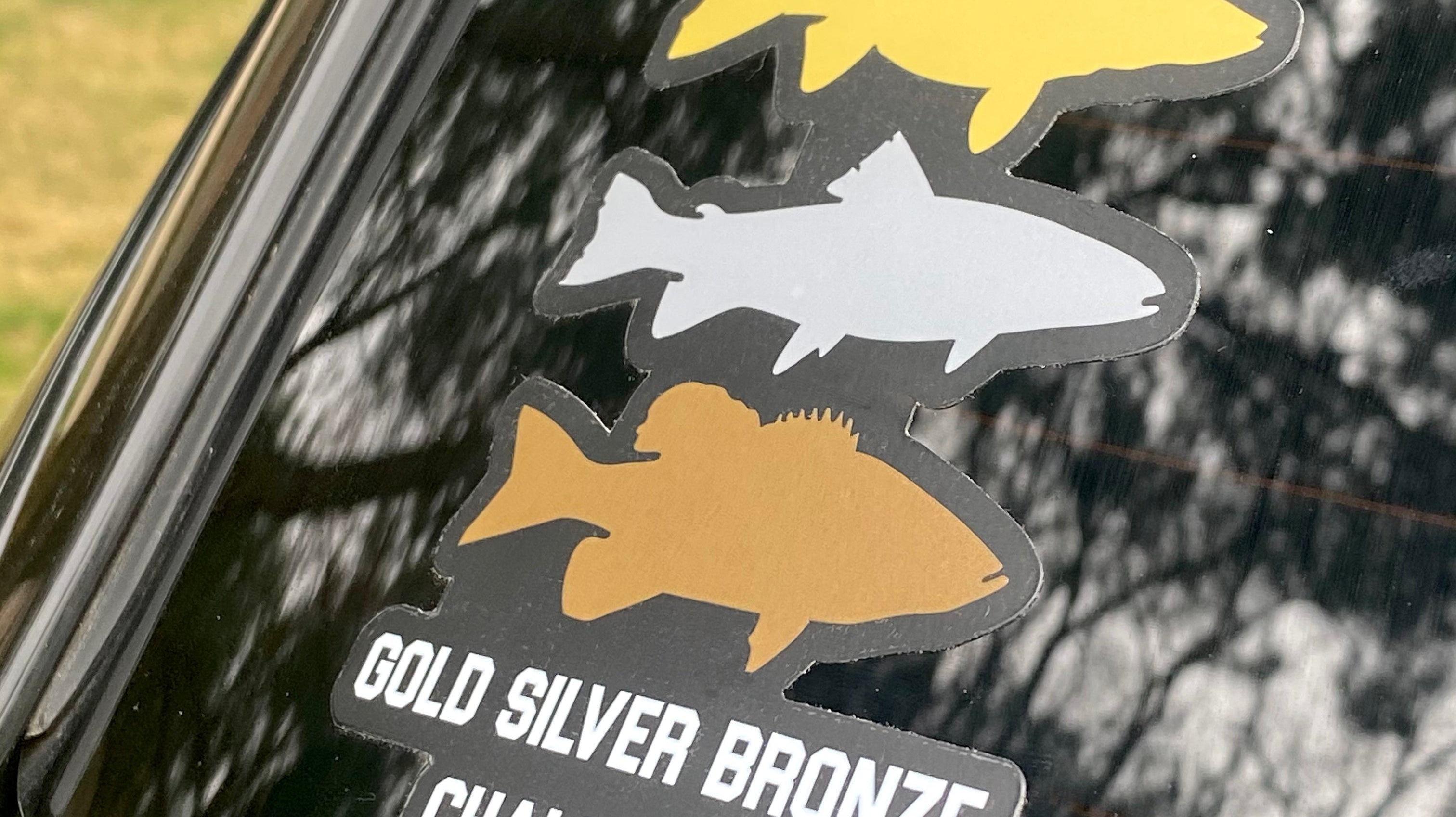 Walleye, Steelhead, Smallmouth | Gold Silver Bronze Challenge