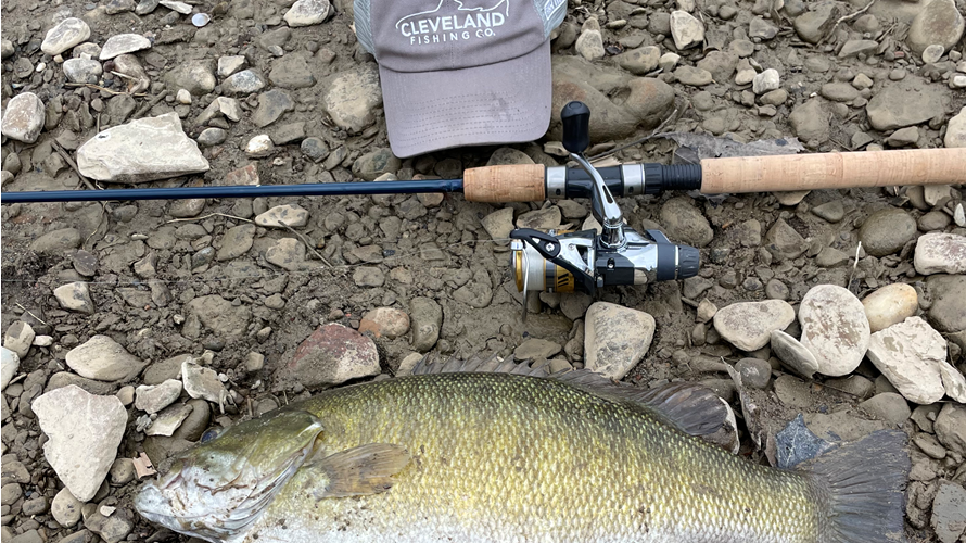 Featured Catch | Smallmouth Bass