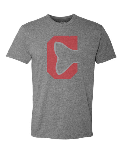 Cleveland Fishtail Shirt | Gray