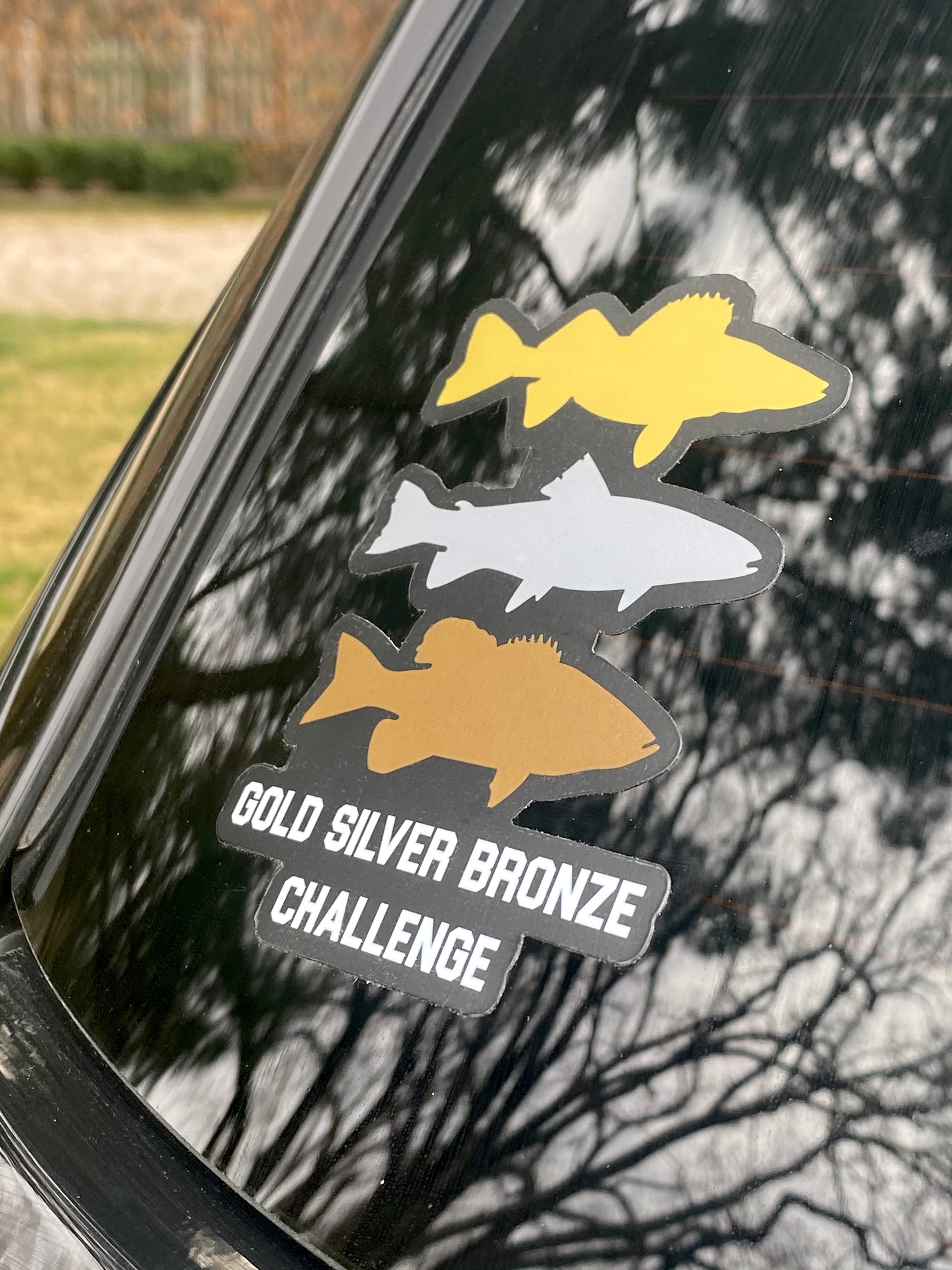 Walleye, Steelhead, Smallmouth | Gold Silver Bronze Challenge
